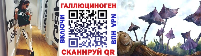 Галлюциногенные грибы прущие грибы  как найти закладки  Кудрово 